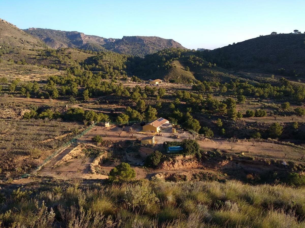 Finca El Carrascal Múrcia Exterior foto